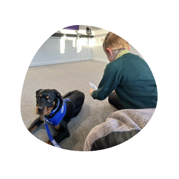 1 Stay N Play Canine Therapies logo