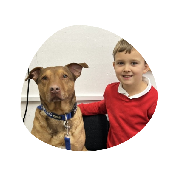 2 Stay N Play Canine Therapies logo