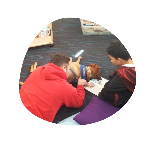 3 Stay N Play Canine Therapies