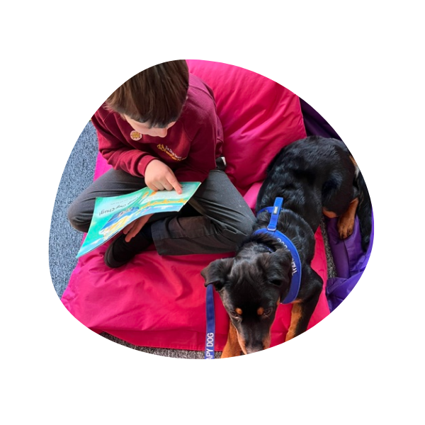 5 Stay N Play Canine Therapies