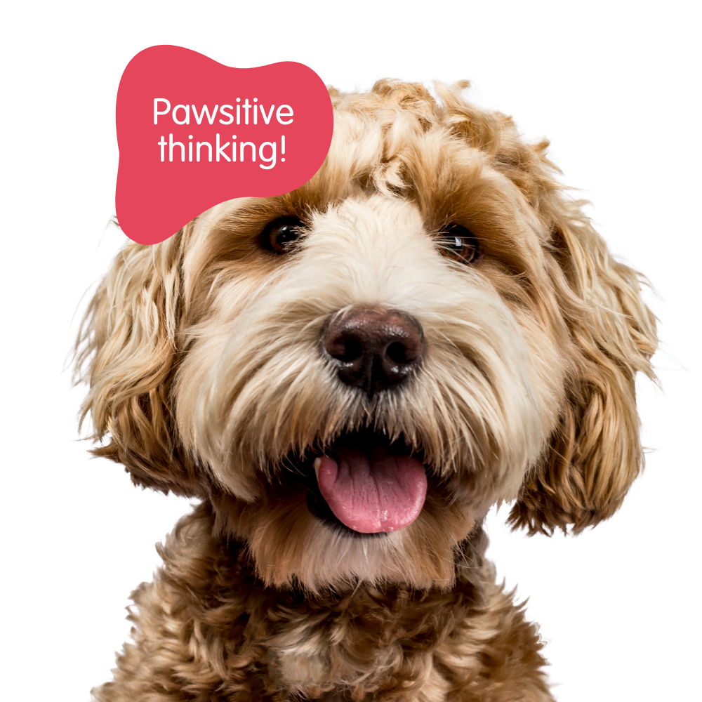 Copy of Let’s chat! (6) emotional talking therapies