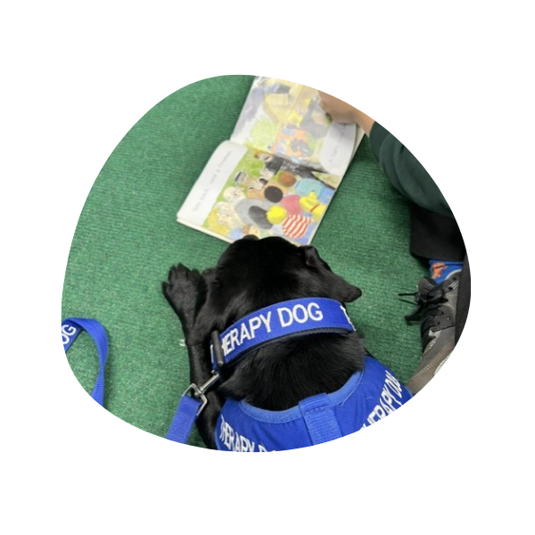 Untitled design (5) Stay N Play Canine Therapies logo